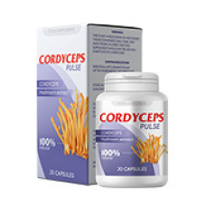 Cordyceps Pulse - Komplex zur Unterstützung des Blutzuckerspiegels Cordyceps Pulse - Komplex zur Unterstützung des Blutzuckerspiegels