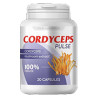 Cordyceps Pulse - Mittel gegen Bluthochdruck